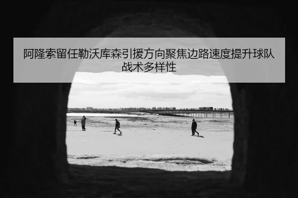 阿隆索留任勒沃库森引援方向聚焦边路速度提升球队战术多样性