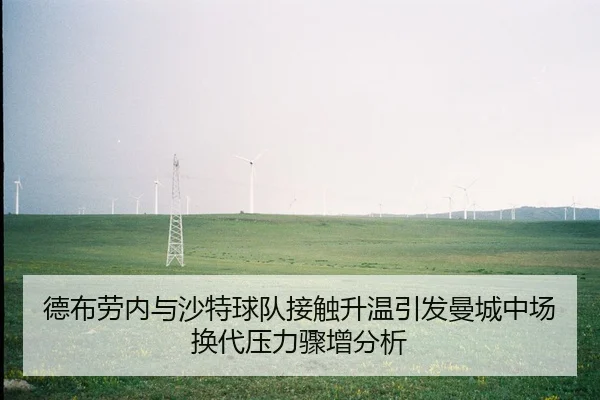 de-bu-lao-nei-yu-sha-te-qiu-dui-jie-chu-sheng-wen-yin-fa-man-cheng-zhong-chang-huan-dai-ya-li-zhou-zeng-fen-xi-1-653.jpg