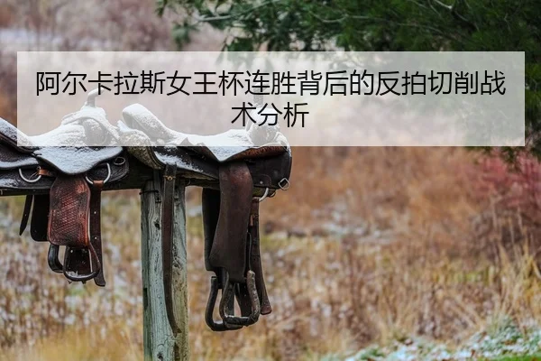 a-er-ka-la-si-nv-wang-bei-lian-sheng-bei-hou-de-fan-pai-qie-xiao-zhan-shu-fen-xi-2-917.jpg
