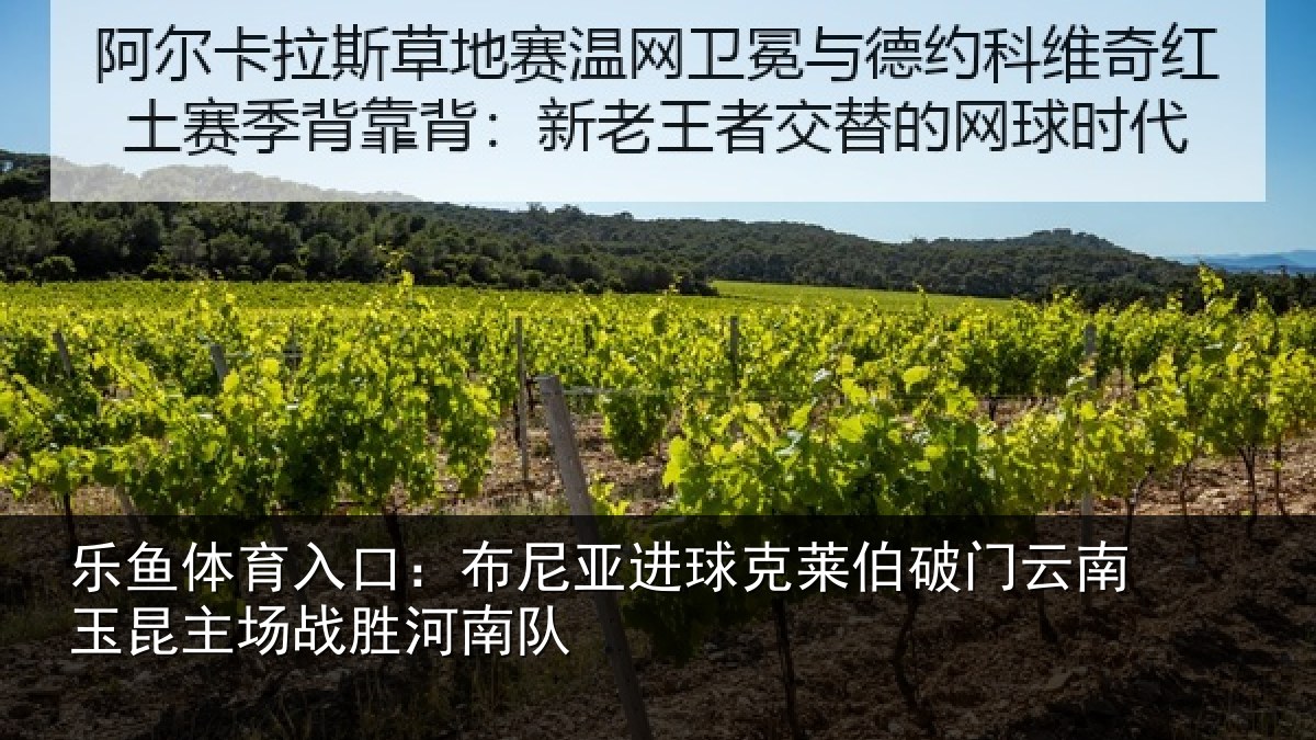 乐鱼体育入口：布尼亚进球克莱伯破门云南玉昆主场战胜河南队