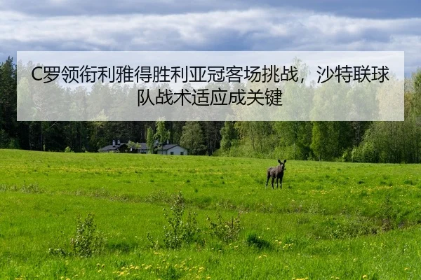 C罗领衔利雅得胜利亚冠客场挑战，沙特联球队战术适应成关键