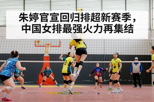 volleyball match arena